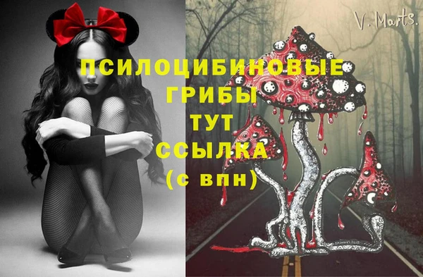 амф Магадан