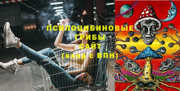 хмурый Майский