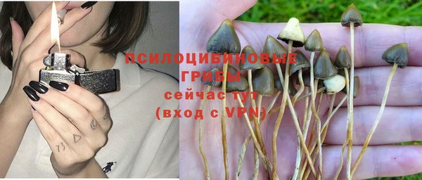 амф Магадан