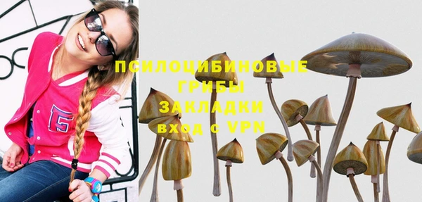 амф Магадан