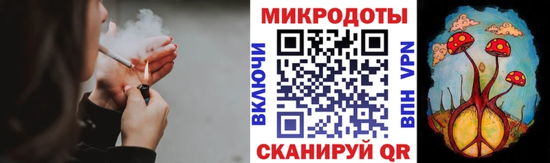 Галлюциногенные грибы Psilocybine cubensis  Железногорск 