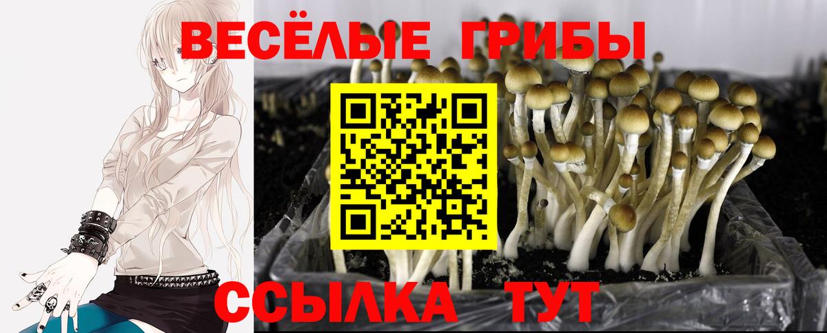 КОКАИН Железногорск