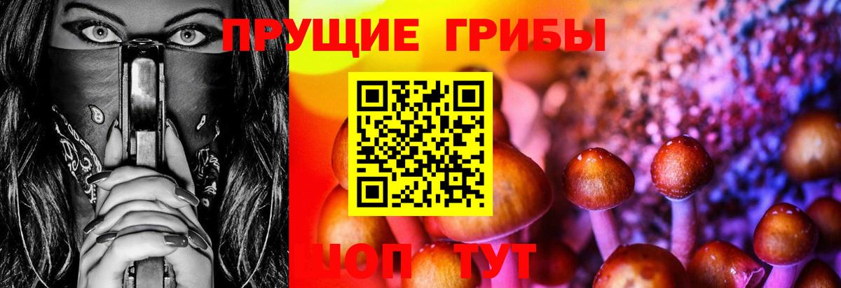 Галлюциногенные грибы GOLDEN TEACHER Железногорск