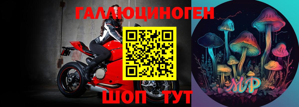 Псилоцибиновые грибы Psilocybe  Железногорск 